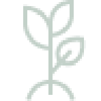 Image 9@2x