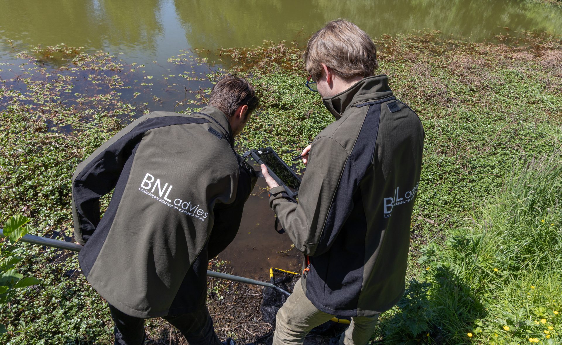 Ecologisch advies - vogels
